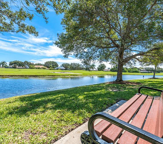 a park bench near a serene lake